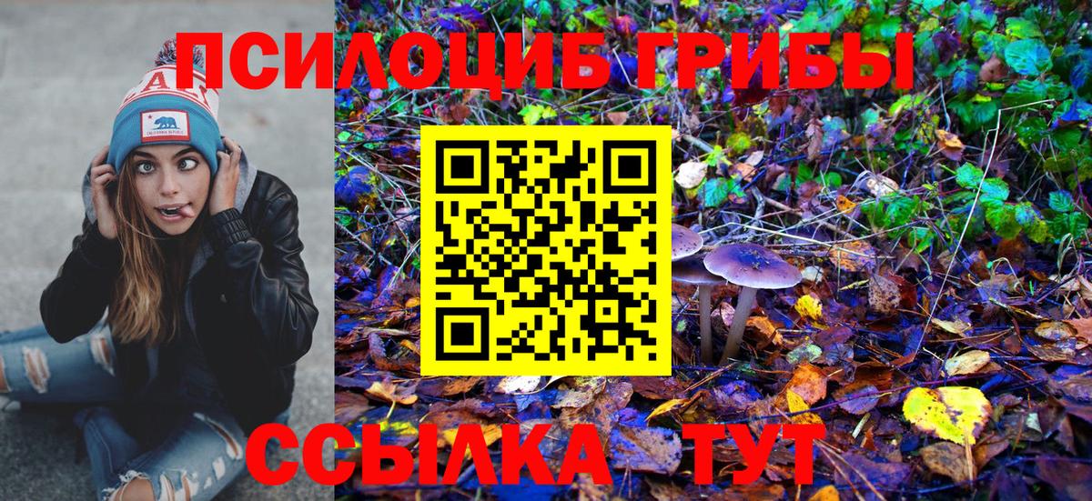 Печора  Псилоцибиновые грибы прущие грибы  Псилоцибиновые грибы прущие грибы  Вход с VPN 